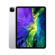 iPad Pro 11 2nd Gen